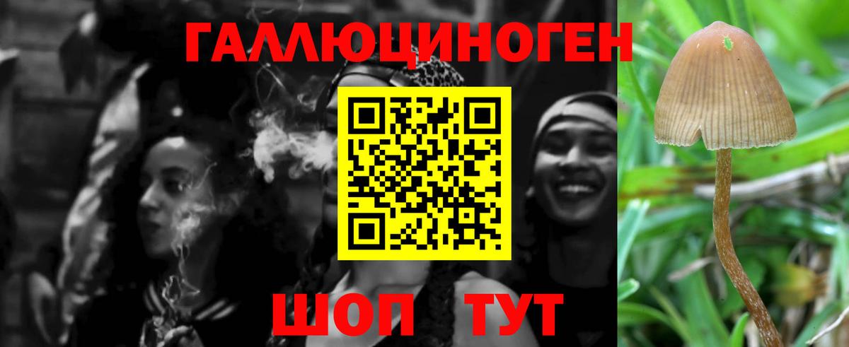 Вольск  Псилоцибиновые грибы MAGIC MUSHROOMS  закладка  Вход с VPN 